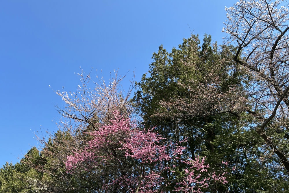 入学式の様子03